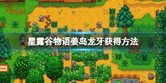 星露谷物语姜岛龙牙怎么获得？姜岛龙牙获得方法