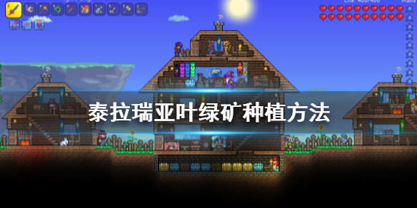 《泰拉瑞亚》叶绿矿如何种植？ 泰拉瑞亚叶绿矿种植方法