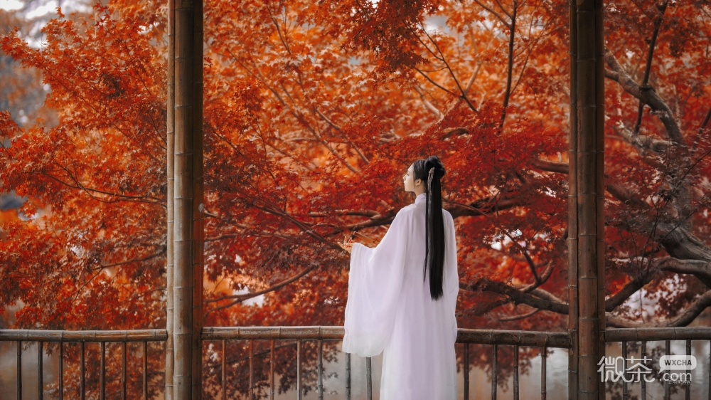 侠女逍遥录神都永安事件触发攻略一览