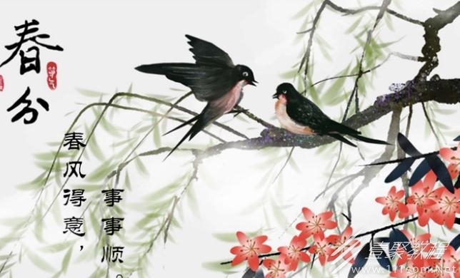春分粘雀子嘴梗