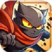 疯狂忍者猫完整版