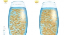 fishbowl性能测试网站在哪fishbowl性能测试网址分享