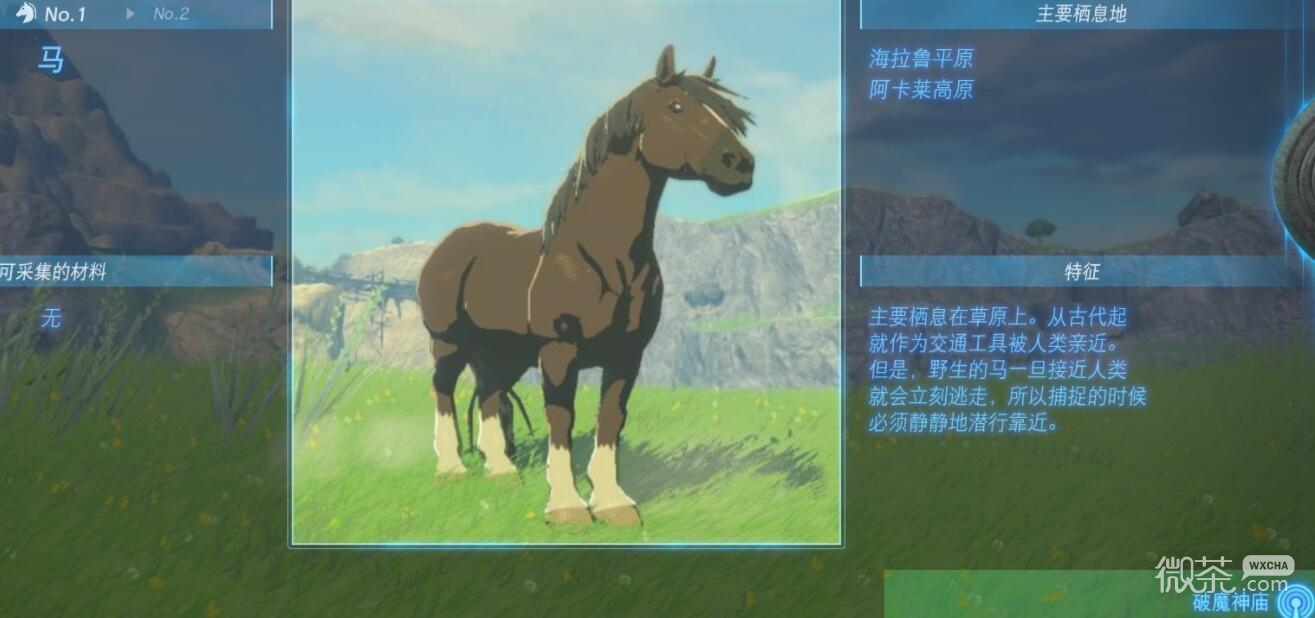 塞尔达传说王国之泪坐骑位置及特征大全分享