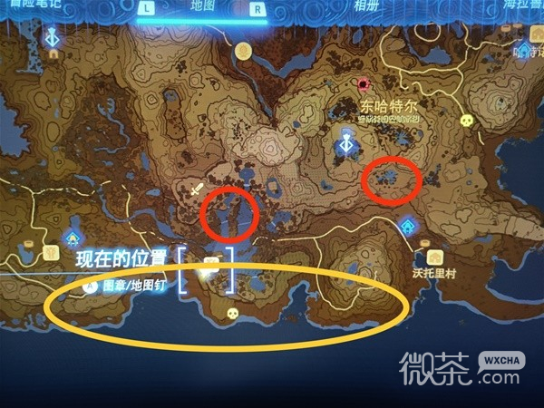 塞尔达传说王国之泪螃蟹与独角仙收集位置详情