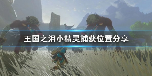 《塞尔达传说王国之泪》小精灵捕获位置分享 小精灵在哪抓？