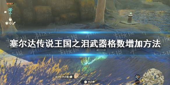 《塞尔达传说王国之泪》武器格数增加方法 武器格子怎么增加？