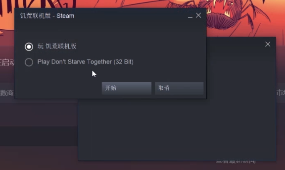 《饥荒联机版》启动选项选择