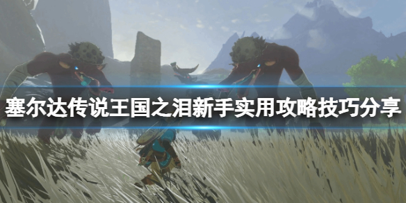 《塞尔达传说王国之泪》飞行器怎么组装？新手实用攻略技巧分享