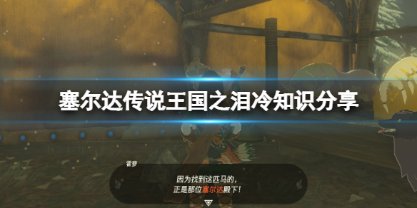 《塞尔达传说王国之泪》物品怎么投掷？冷知识分享