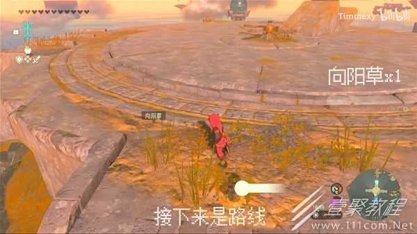 塞尔达传说王国之泪向阳草采集路线演示详情