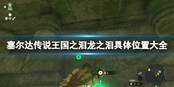 《塞尔达传说王国之泪》龙之泪具体位置大全 全龙之泪攻略地图标注