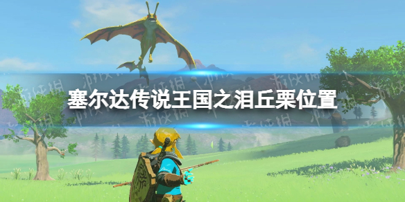《塞尔达传说王国之泪》丘栗在哪？ 丘栗位置
