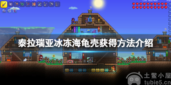 泰拉瑞亚冰冻海龟壳怎么获取冰冻海龟壳获取技巧