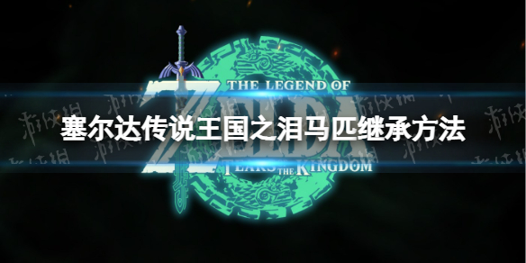《塞尔达传说王国之泪》马怎么继承？ 马匹继承方法