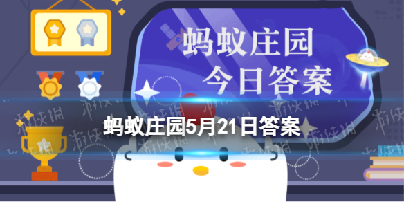 你注意过吗我国的盲道蚂蚁庄园盲道表面通常是什么形状的凸起