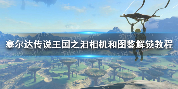 《塞尔达传说王国之泪》相机怎么解锁？ 相机和图鉴解锁教程