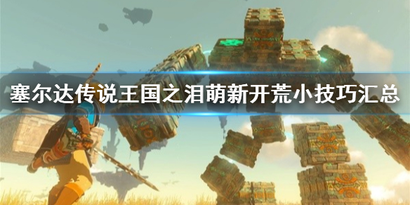 《塞尔达传说王国之泪》萌新开荒小技巧汇总  有什么小技巧？