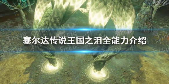 《塞尔达传说王国之泪》全能力介绍 能力有哪些？