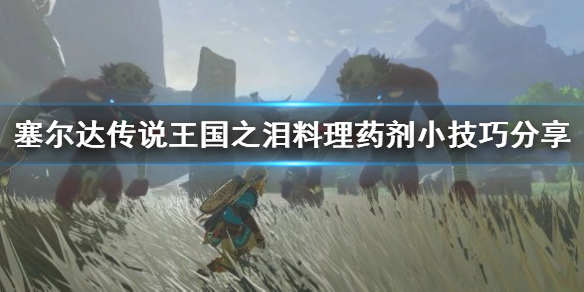 《塞尔达传说王国之泪》料理药剂小技巧分享  有什么小技巧？