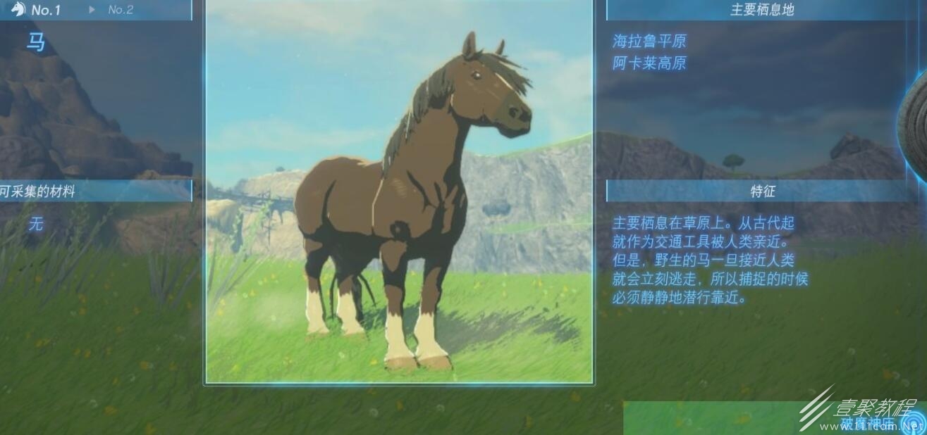 塞尔达传说王国之泪坐骑位置及特征大全