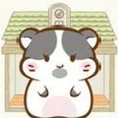 小仓鼠公寓下载最新版