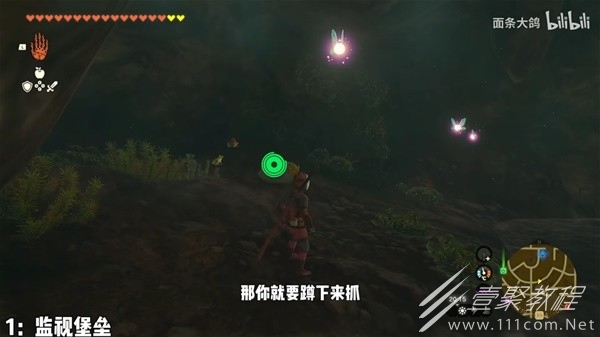 塞尔达传说王国之泪前期实用小精灵刷新点分享