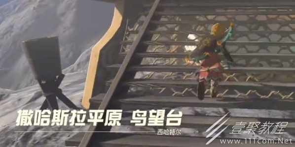 塞尔达传说王国之泪鸟望台采蘑菇完成攻略