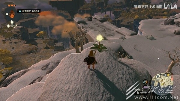 塞尔达传说王国之泪初始空岛雪山蒲公英解谜教程