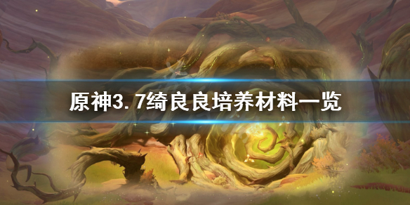 《原神》3.7绮良良培养材料一览  绮良良培养需要哪些材料？