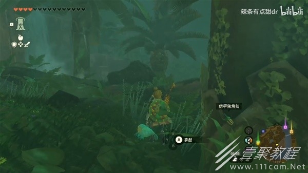 塞尔达传说王国之泪刷独角仙位置推荐
