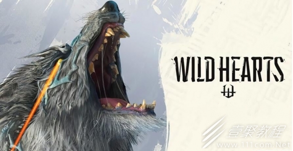 狂野之心藏品位置详解