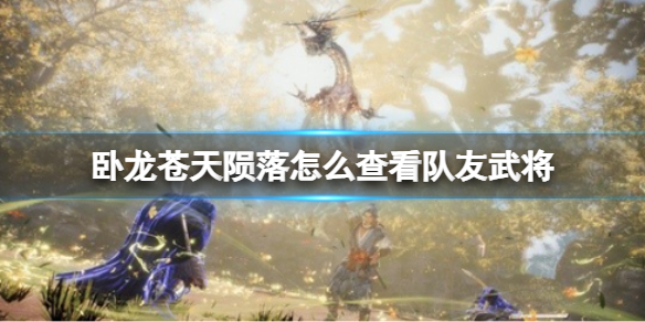 《卧龙苍天陨落》怎么查看队友武将？复活同行武将方法