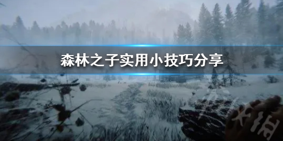 《森林之子》实用小技巧分享  森林之子都有哪些小技巧？