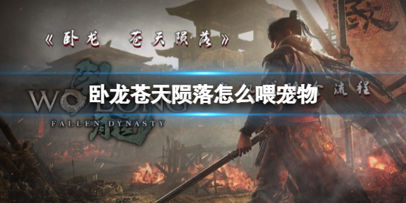 《卧龙苍天陨落》怎么喂宠物？卧龙苍天陨落喂养啮铁兽熊猫方法