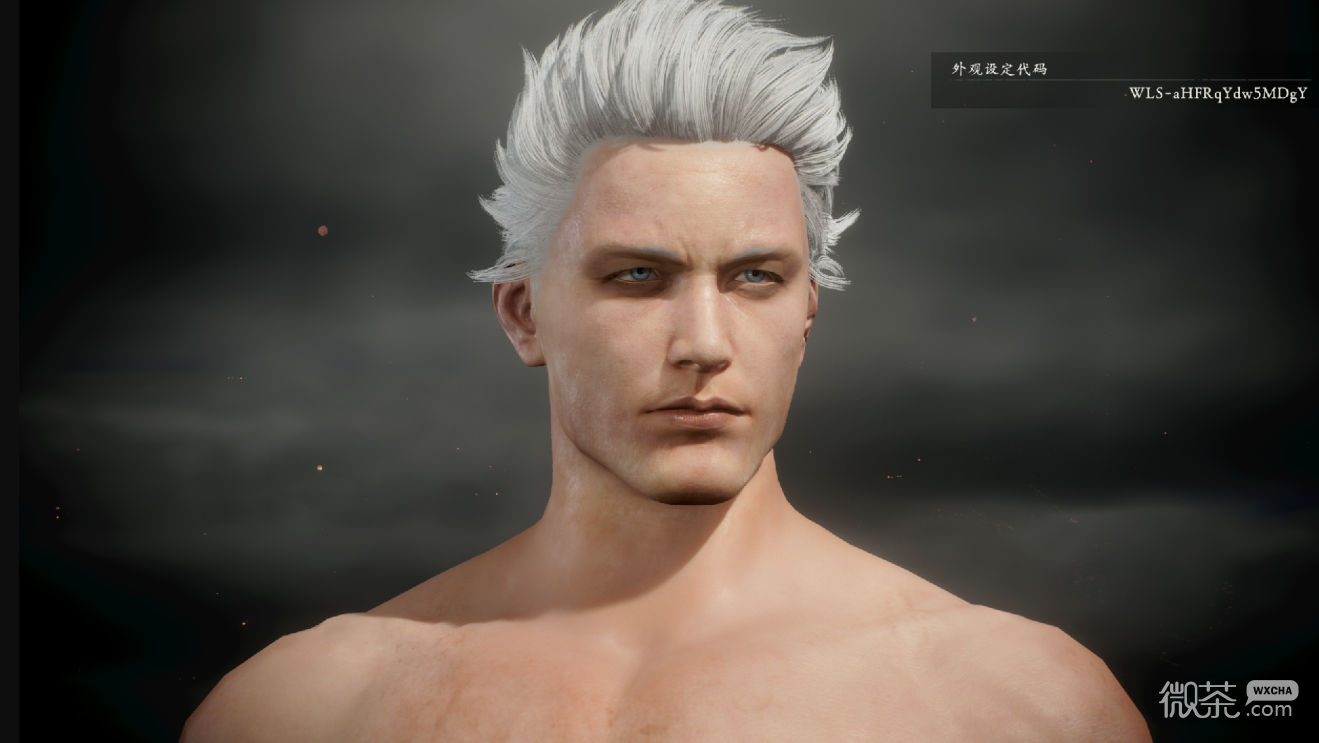 卧龙苍天陨落v哥捏脸数据代码一览