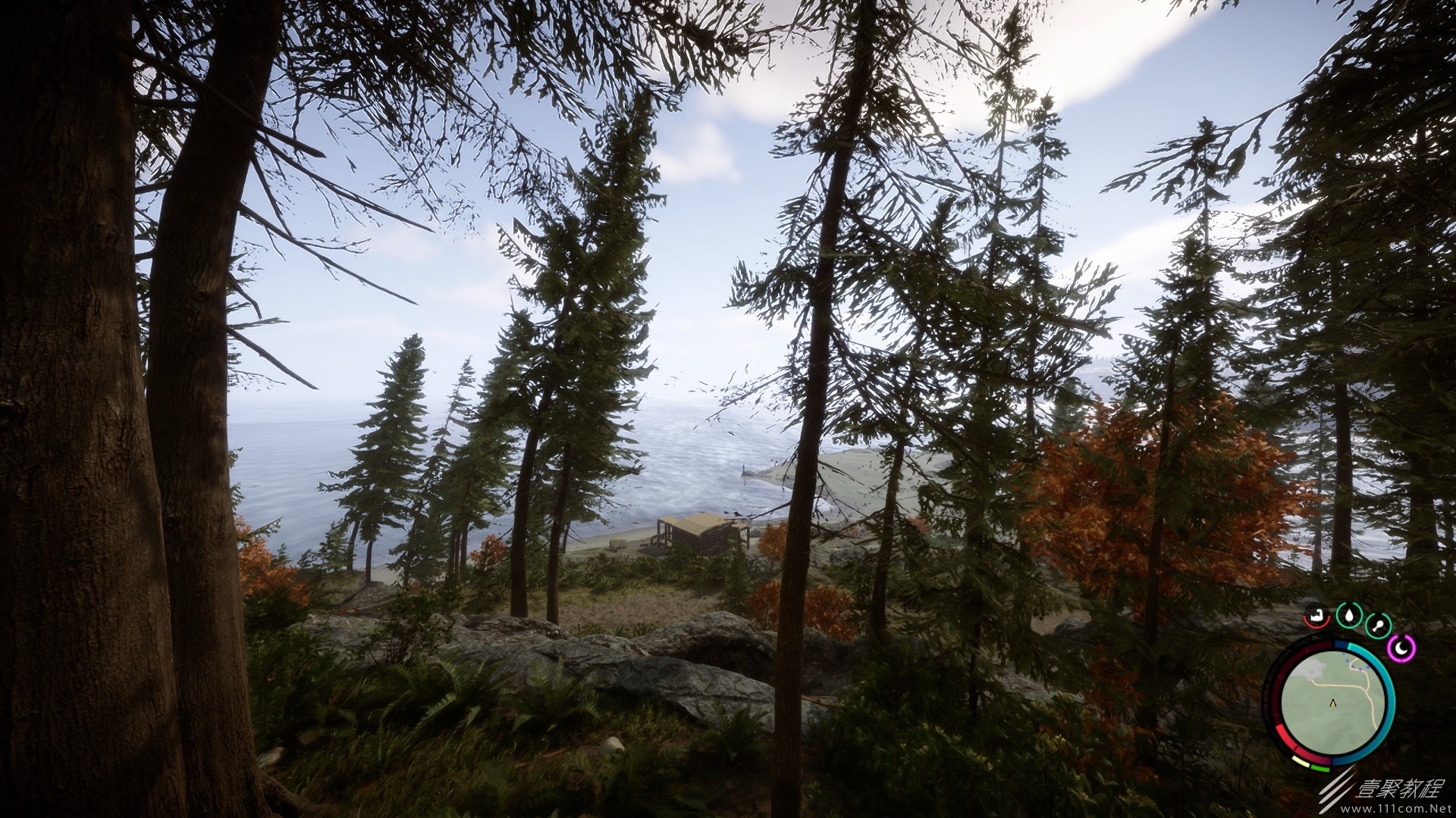 森林之子铅弹使用及远程武器伤害介绍