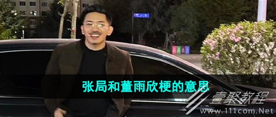 张局和董雨欣梗含义一览