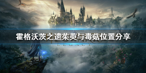 《霍格沃茨之遗》茱萸与毒菇位置分享  茱萸与毒菇在哪？