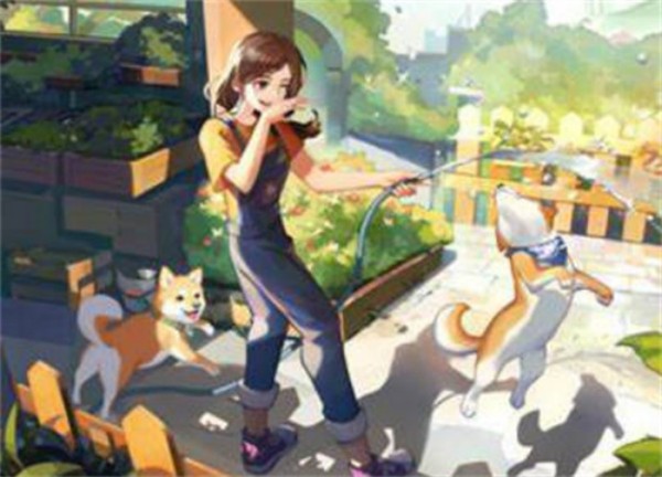向往的生活宠物怎么获得