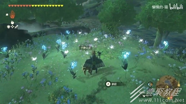 塞尔达传说王国之泪宁静公主大量采集地点分享