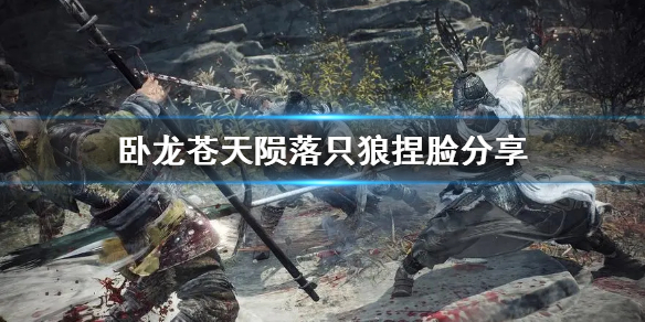 《卧龙苍天陨落》只狼捏脸分享  只狼捏脸怎么捏？