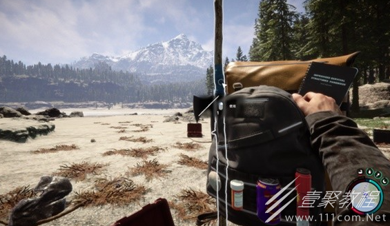 森林之子钢线索怎么获取