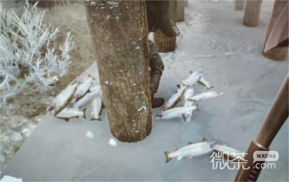 森林之子捕鱼工具使用方法攻略