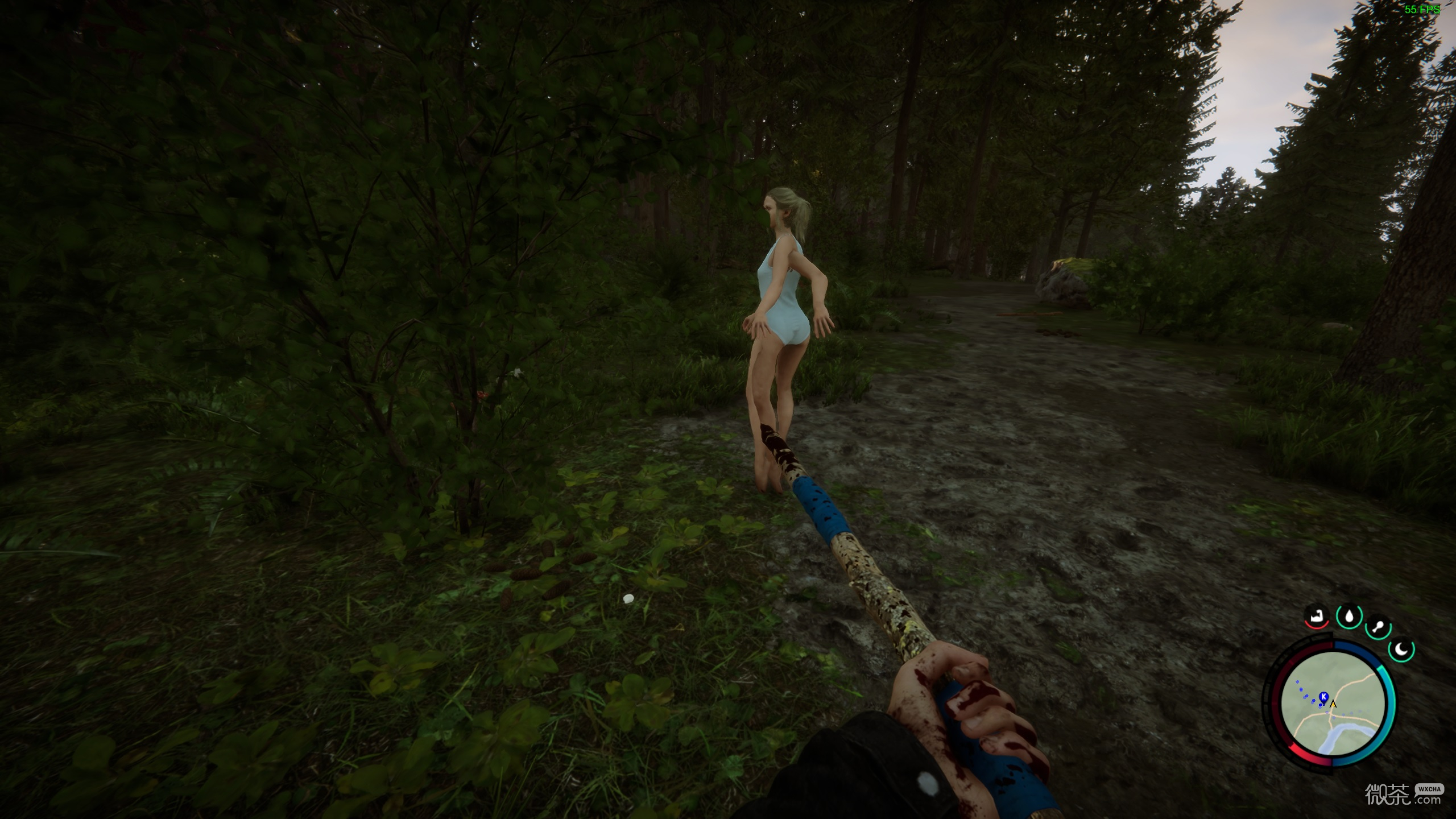 森林之子阿根廷售价详情