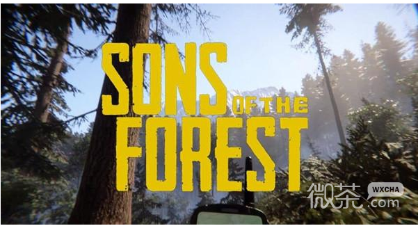 森林之子无限刷行李箱一览