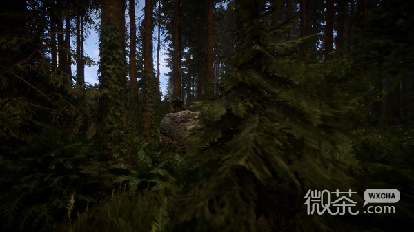 森林之子卡顿掉帧优化攻略一览