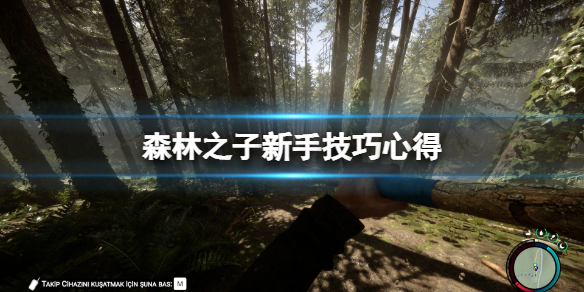 《森林之子》初期有什么技巧？新手技巧心得