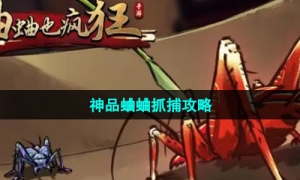 《蛐蛐也疯狂》神品蛐蛐抓捕策略