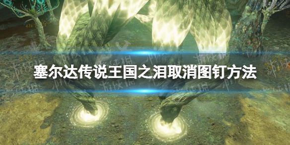 《塞尔达传说王国之泪》图钉怎么取消？ 取消图钉方法