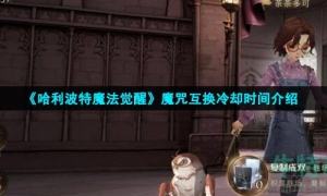 《哈利波特魔法觉醒》魔咒互换冷却时间介绍